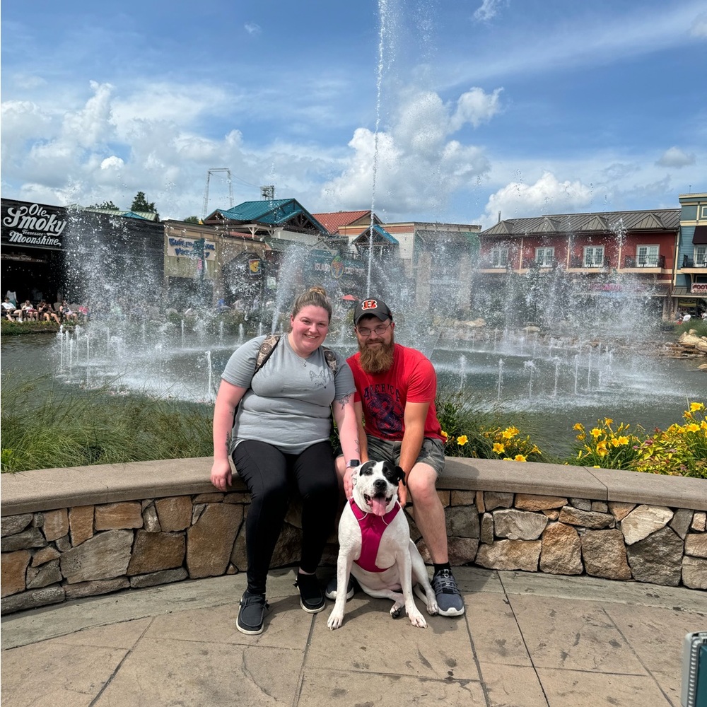 Meet your Posher, Kelsey